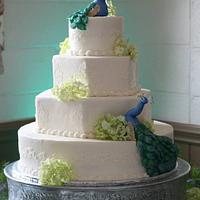 Peacock Wedding