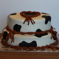 Cowboy cake for twins