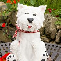 West Highland Terrier Dog