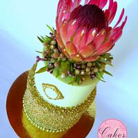 King Protea going for gold.