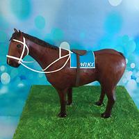 Winx Racehorse 