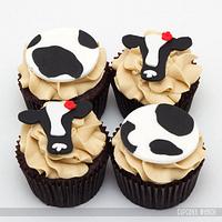 Cow themed cupcakes