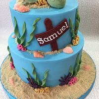 Samuel's Turtle cake 