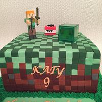 Minecraft for Katy