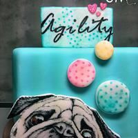 Agility cake