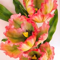 Parrot Tulip 