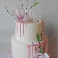 Birthdays cake Birthdays cake