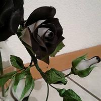 Black an White Roses...