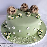 Hedgehogs and Daisies