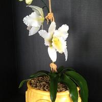 Catleya Orchid cake 