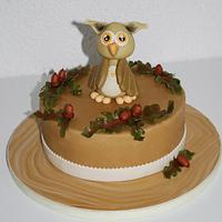 Little Owl Cake