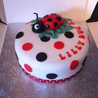 Lilly bug cake