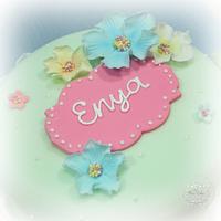 Enya's 'Hello Kitty' Cake