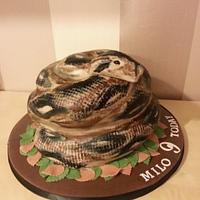 hand painted Boa Constrictor