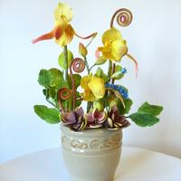 Slipper Orchid arrangement