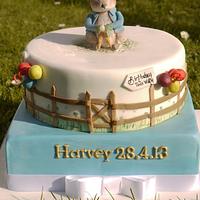 Peter Rabbit Christening/1st Birthday Cake