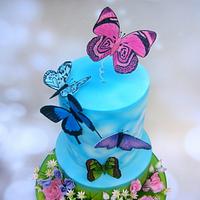 Miss Ellie's butterfly birthday cake