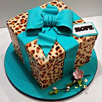 Cheetah and Teal gift box