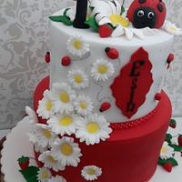 Ladybug cake one's birthday