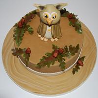 Little Owl Cake