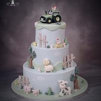 Farm cake Farm cake