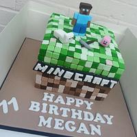 Minecraft cake 