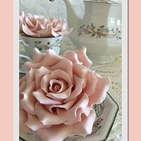 Dusty Pink Roses