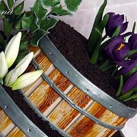 Flowerpots cake..