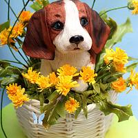 3D cake puppy Beagle in the basket of dandelions