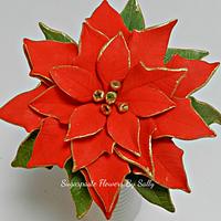 Gold edged, red Poinsettia.