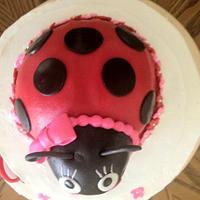 Aubree's ladybug cake