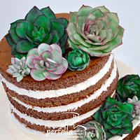 Succulent Naked Cake