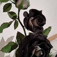 Black an White Roses...