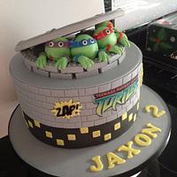 Turtles cake 