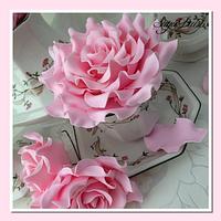 Pretty Pink Roses