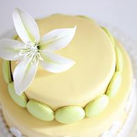 Limelite! A Two tier cake adorned with beautiful macarons and flower paste bombax flower