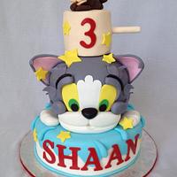 Tom and Jerry Birthday Cake