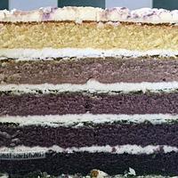 Deirdre - Ombre Birthday Cake