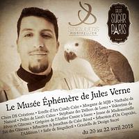 Jules Verne’s Ephemeral Museum - Master Zacharius