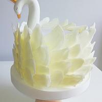 White chocolate swan cake