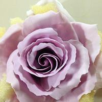 Lavender / Pink Icing Rose