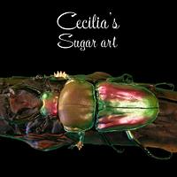Rainbow Stag Beetle - Made of sugar