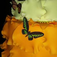 Wedding Cake "Butterflies in the belly"