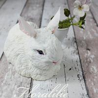 White Rabbit White Rabbit