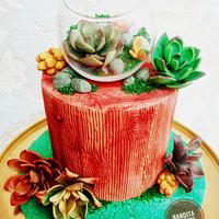 Cake with succulents