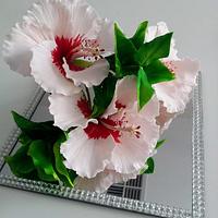 Hibiscus flower ...