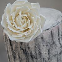 Chalkboard Roses Cake