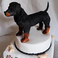 Dog cake...