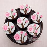 Cherry Blossom cupcakes