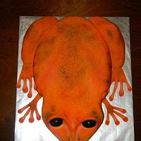Orange frog cake